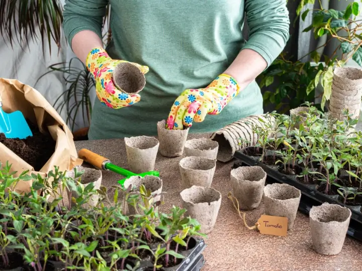 Show-Your-Garden-a-Little-Winter-Love