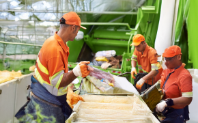 Garden Waste Clearance Images