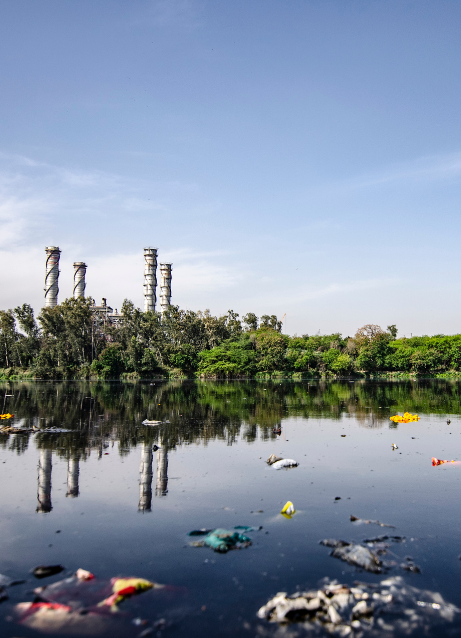 Hazardous Waste Clearance Images