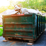 We clear Junk Skip Service Images